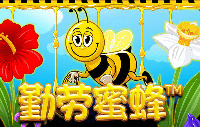678体育app安卓版下载